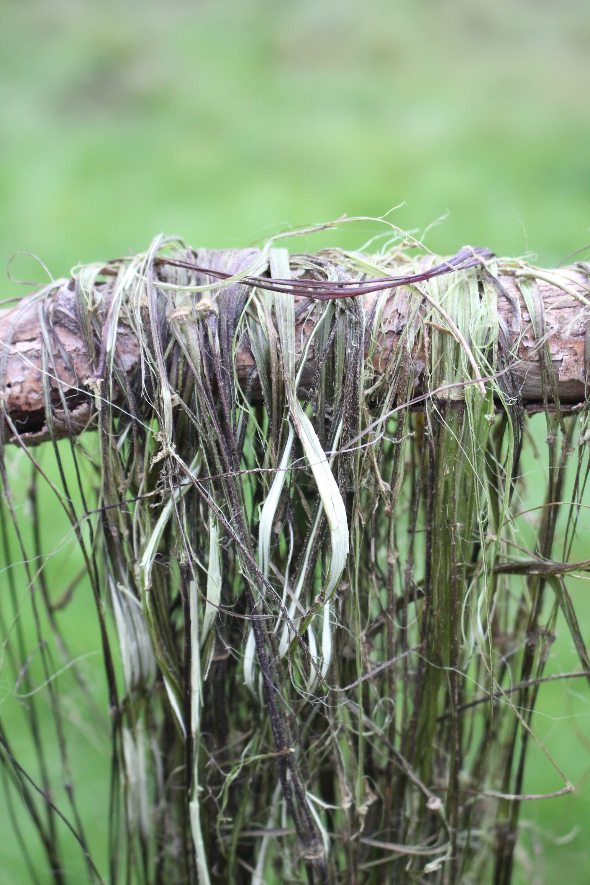 NETTLE FIBRE WORKSHOP