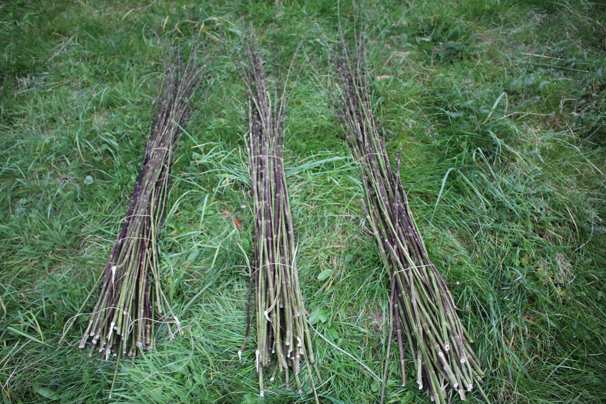 NETTLE FIBRE WORKSHOP