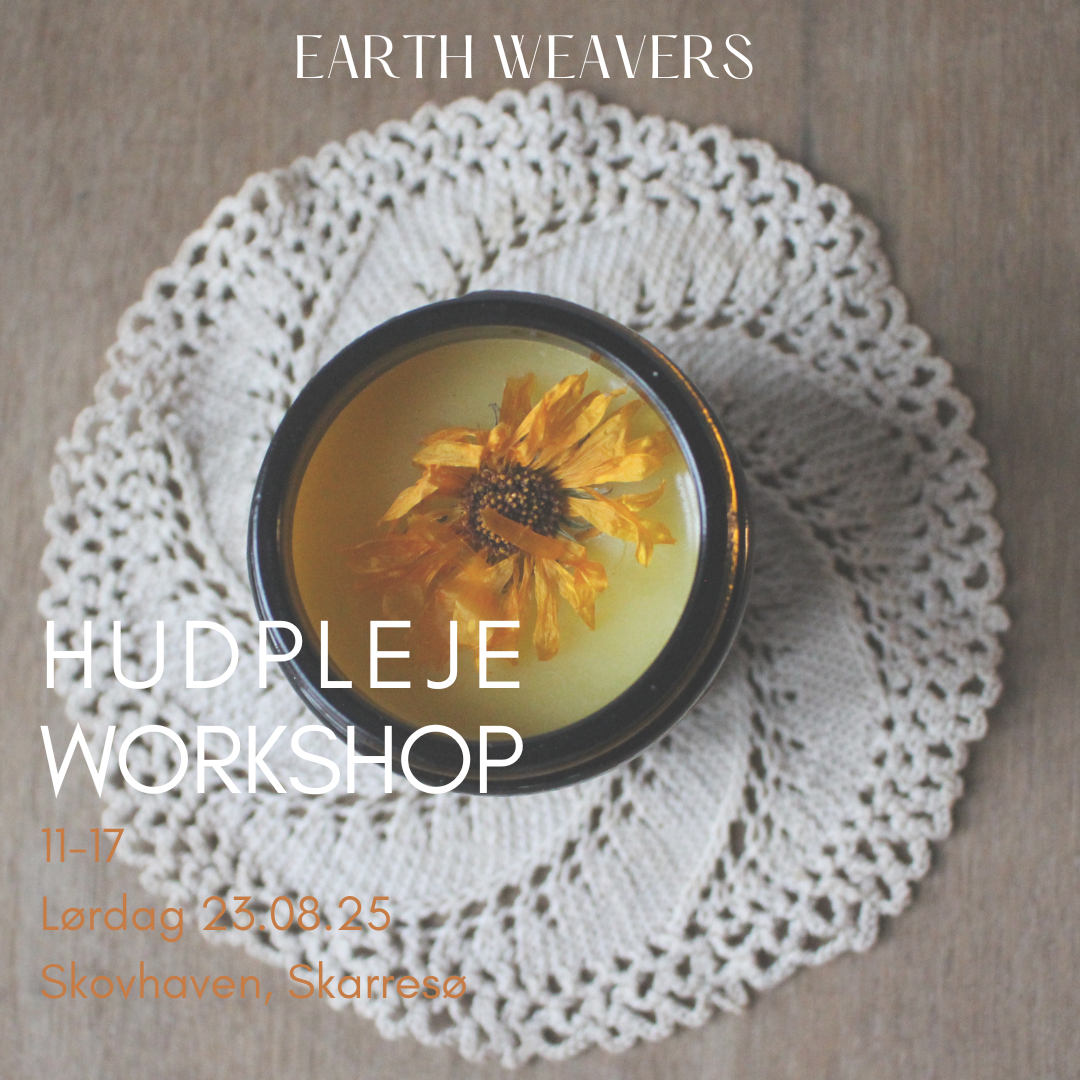 HUDPLEJE WORKSHOP