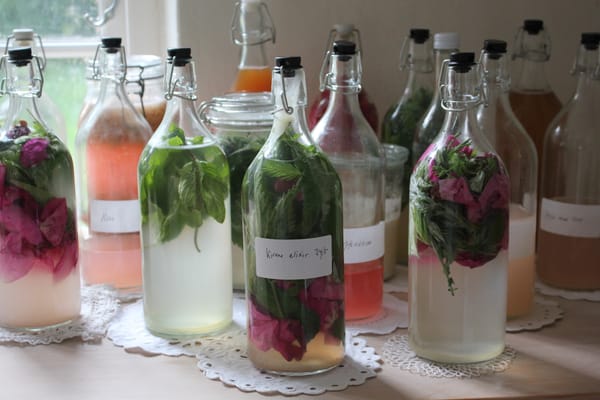 FERMENTERINGS WORKSHOP