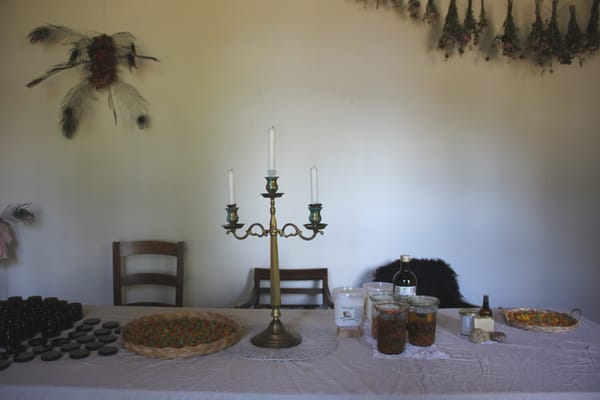 HUDPLEJE WORKSHOP