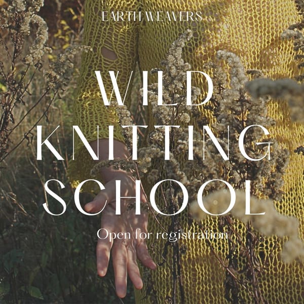 WILD KNITTING SCHOOL